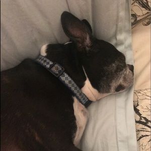 Meet your Posher, Debra